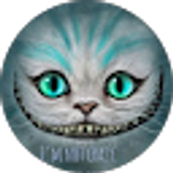 Profile photo of David C