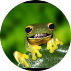 Profile photo of T Seaton