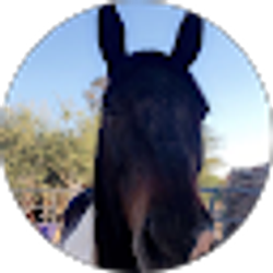 Profile photo of RidingRickyRiptide