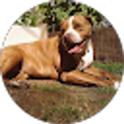 Profile photo of Yay Trebor