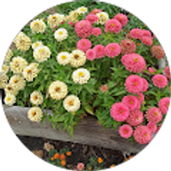 Profile photo of Will Washington