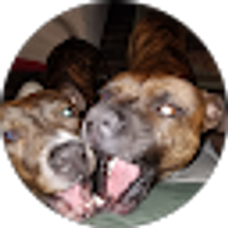 Profile photo of Eightball Dixon