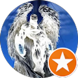 Profile photo of MysticWings