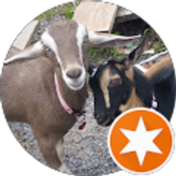 Profile photo of Nicole Kantowski