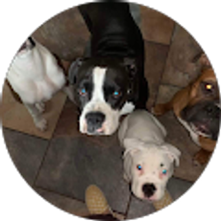 Profile photo of Aub Kolb