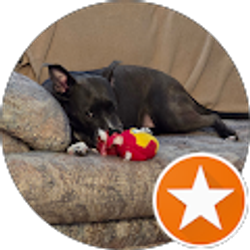 Profile photo of Richard Bernstein