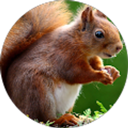 Profile photo of Morgan Smith