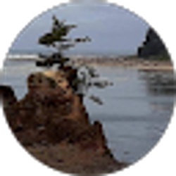Profile photo of Eleene Olson