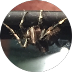 Profile photo of John Doe