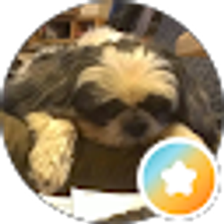 Profile photo of Charles Stoll