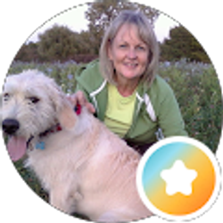 Profile photo of Geri Dishman