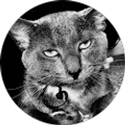 Profile photo of Emilia V Narvaez