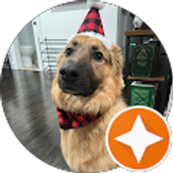 Profile photo of M.L