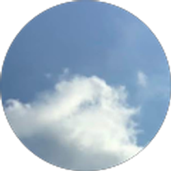 Profile photo of Maya Pehlic