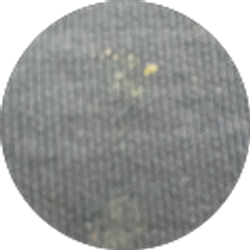 Profile photo of Tyler Miller