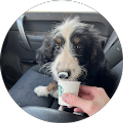 Profile photo of Trey Browne