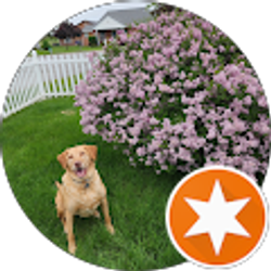 Profile photo of Lori Clark