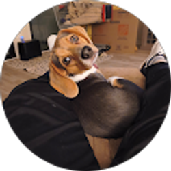 Profile photo of Robert Nodler