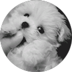 Profile photo of Mia Pair