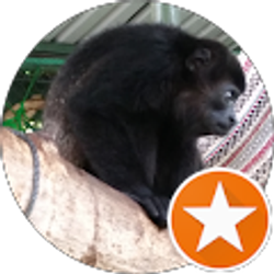 Profile photo of spencer southwell