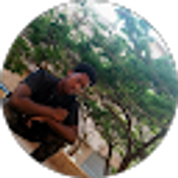Profile photo of Mamadou Diallo
