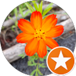 Profile photo of Ji K