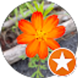 Profile photo of Ji K