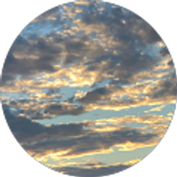 Profile photo of William Brown