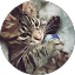 Profile photo of Nikki Marie