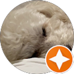 Profile photo of Jessica Vega