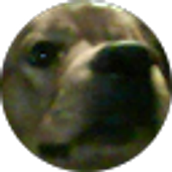 Profile photo of davie locker