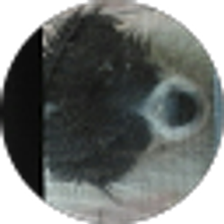 Profile photo of Yadezz 2004