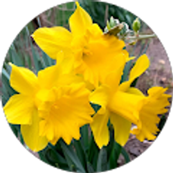 Profile photo of Karin Beil