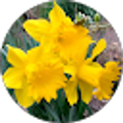 Profile photo of Karin Beil