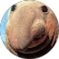 Profile photo of Chad Felger