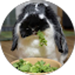 Profile photo of Kaitlyn Hainline