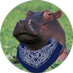 Profile photo of Jerry Silva