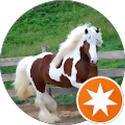 Profile photo of Cristina L.