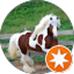 Profile photo of Cristina L.