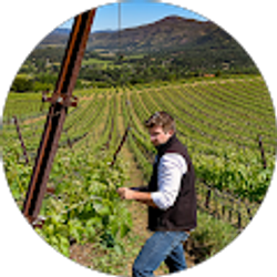 Profile photo of Bryan Toy