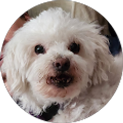 Profile photo of Kim Tachiki