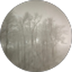 Profile photo of alayna wilcher