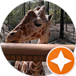 Profile photo of L W (Laina)