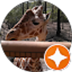 Profile photo of L W (Laina)