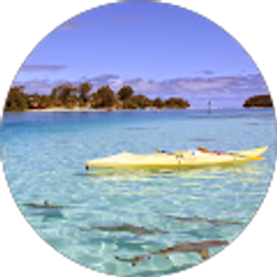 Profile photo of Nauman Sajjad