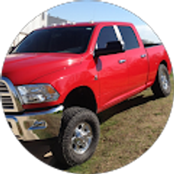 Profile photo of Buddy