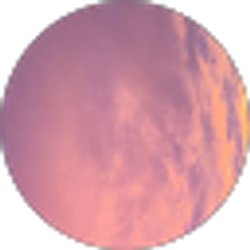 Profile photo of Madison McCollough