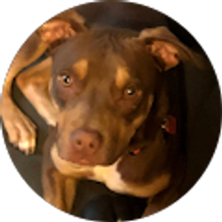 Profile photo of Ian Sizemore