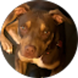 Profile photo of Ian Sizemore