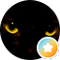 Profile photo of J Tennant